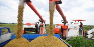 全国早稻总产量增长2.7%